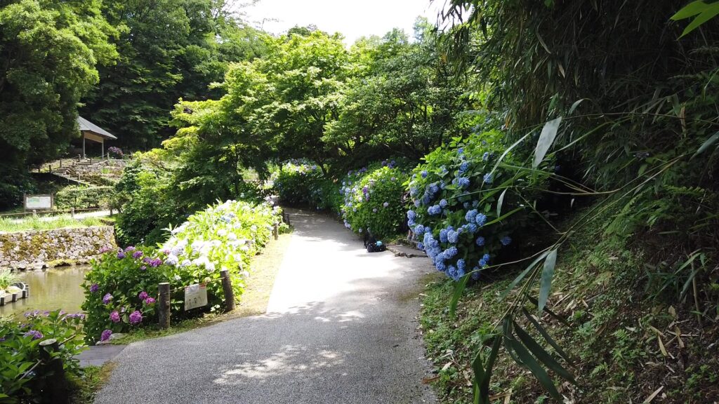 卯辰山花菖蒲園