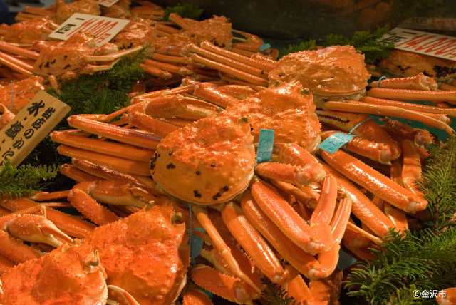 近江町市場 カニまつり
